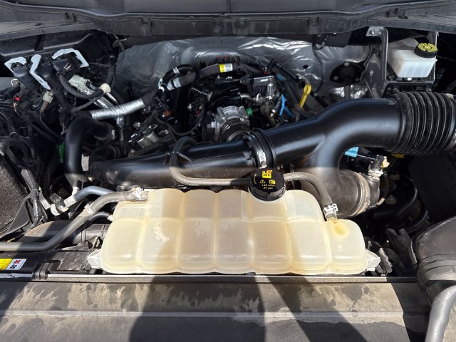 Certified 2023 Ford F150 XL w/ STX Appearance Package AWD/4WD image 37