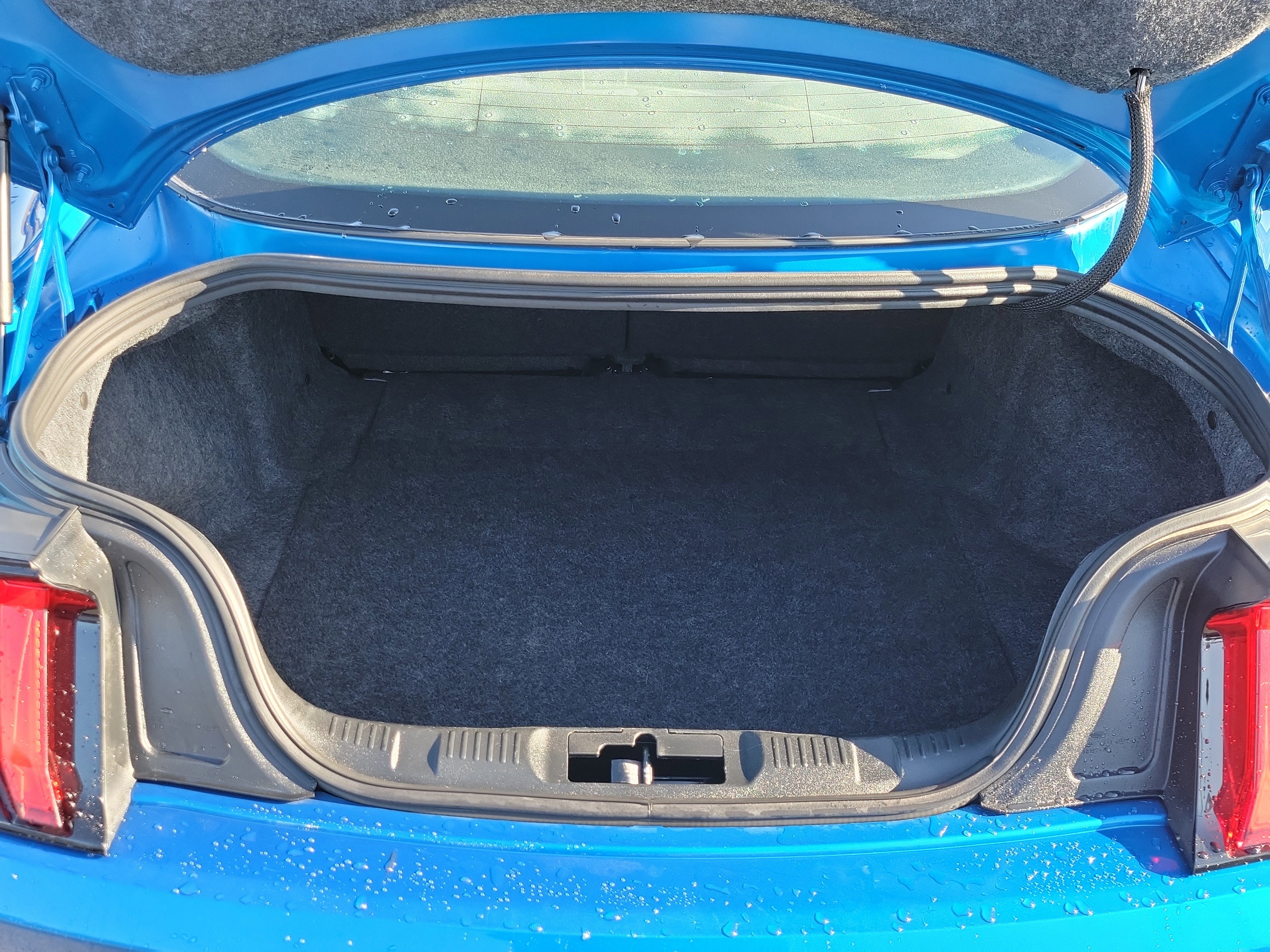 Certified 2019 Ford Mustang EcoBoost image 15