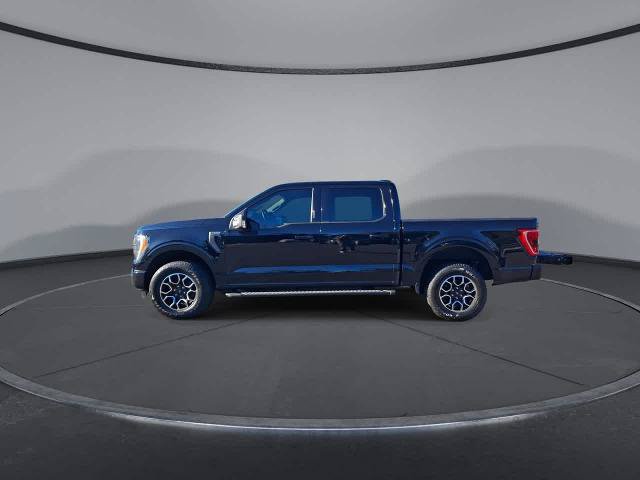 Certified 2023 Ford F150 XLT w/ Equipment Group 302A High AWD/4WD image 5