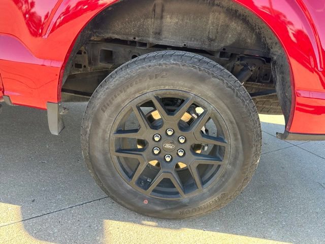 Certified 2024 Ford F150 STX w/ STX Black Appearance Package image 11
