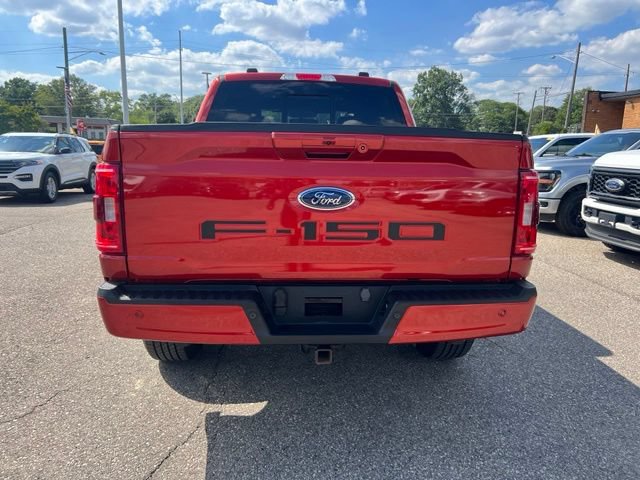 Certified 2023 Ford F150 XLT w/ Equipment Group 302A High AWD/4WD image 5