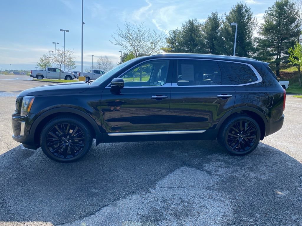 Used 2022 Kia Telluride SX w/ SX Prestige Package AWD/4WD image 6