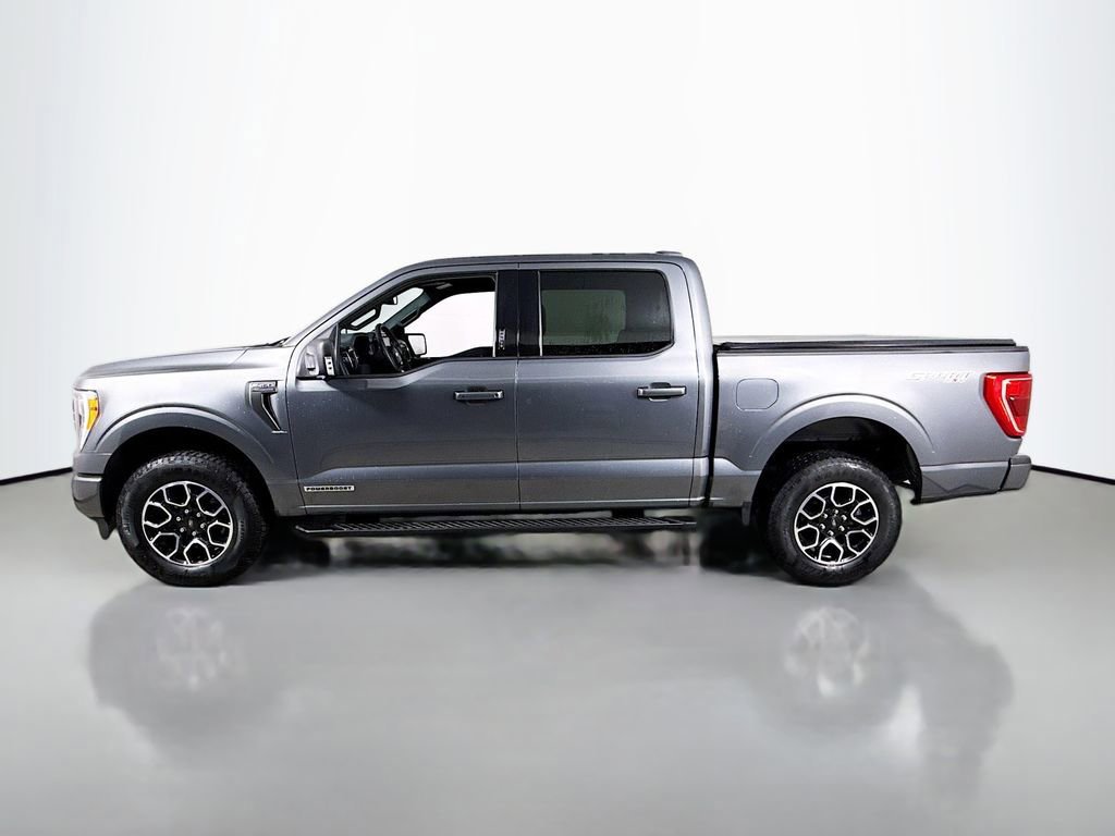 Certified 2023 Ford F150 XLT w/ Equipment Group 302A High image 2
