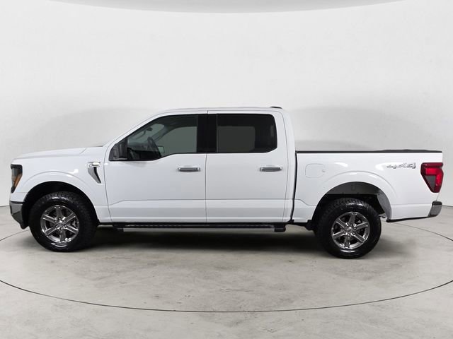 Certified 2025 Ford F150 XLT w/ Equipment Group 301A Standard image 6