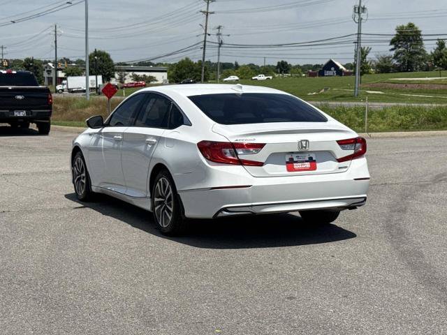 Used 2019 Honda Accord EX-L image 7
