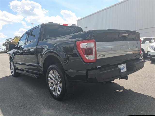 Certified 2023 Ford F150 Limited image 5