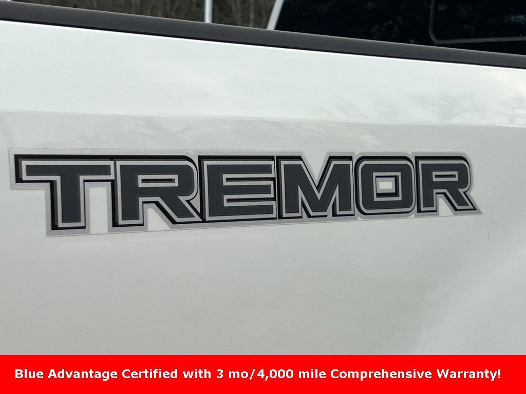 Certified 2020 Ford F250 Lariat image 7