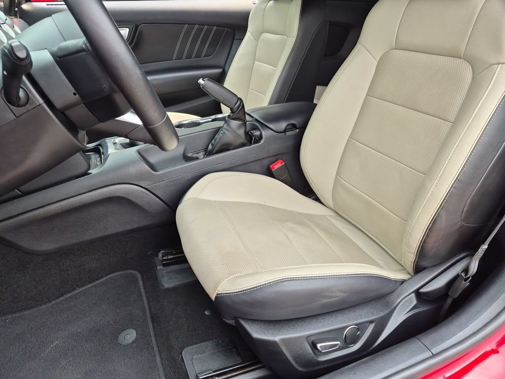 Certified 2019 Ford Mustang GT Premium w/ Ford Safe & Smart Package RWD image 23