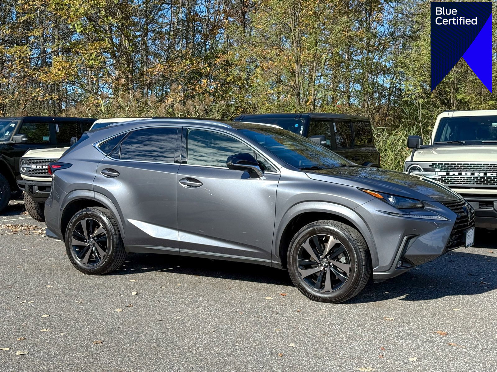 Used 2020 Lexus NX 300 AWD w/ Premium Package