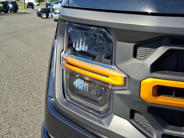 Certified 2025 Ford F150 Tremor AWD/4WD image 9