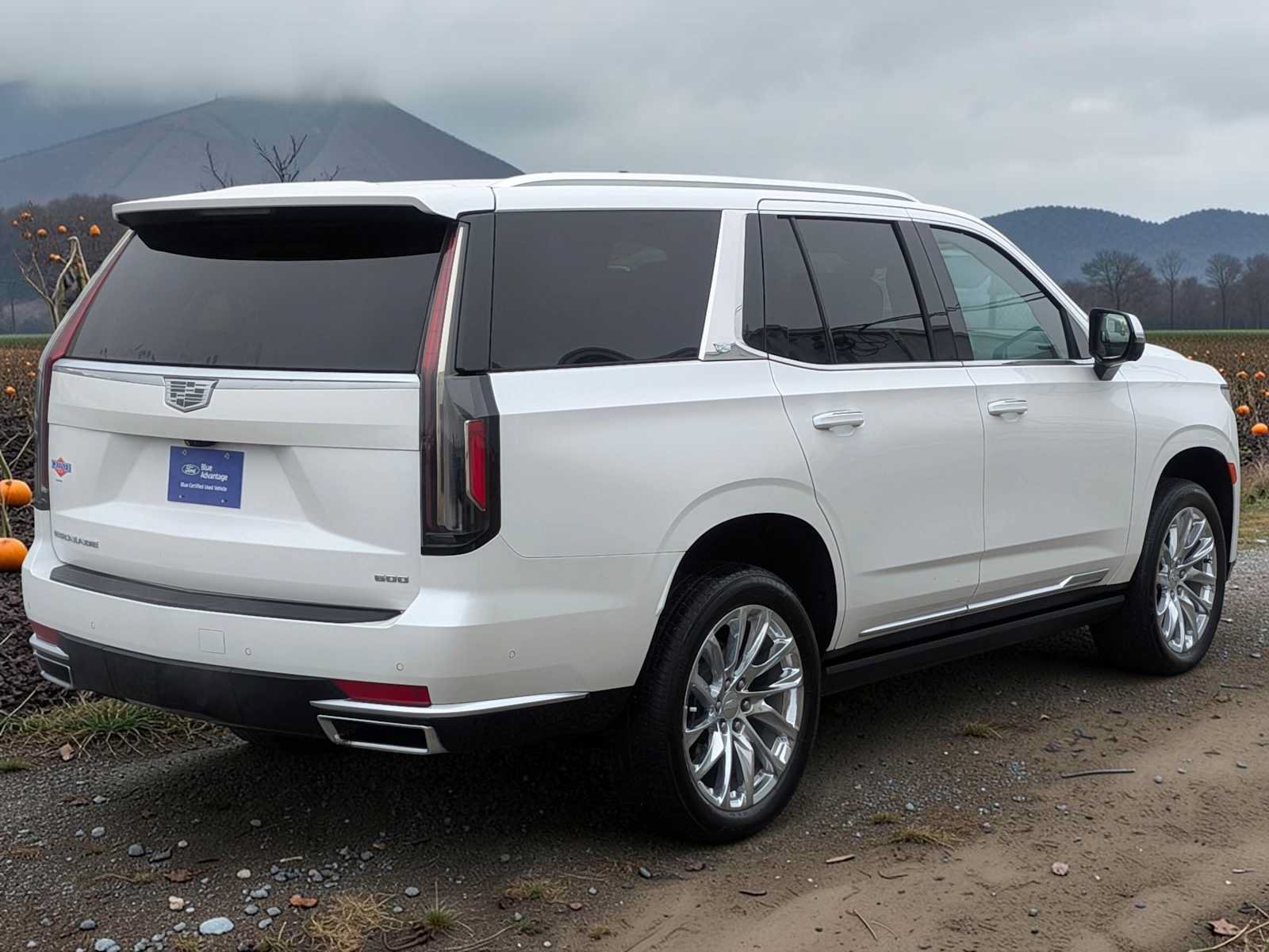 Used 2023 Cadillac Escalade Premium Luxury Platinum w/ LPO, Radiant Package AWD/4WD image 6
