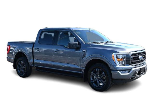Certified 2023 Ford F150 XLT w/ Equipment Group 302A High AWD/4WD image 3