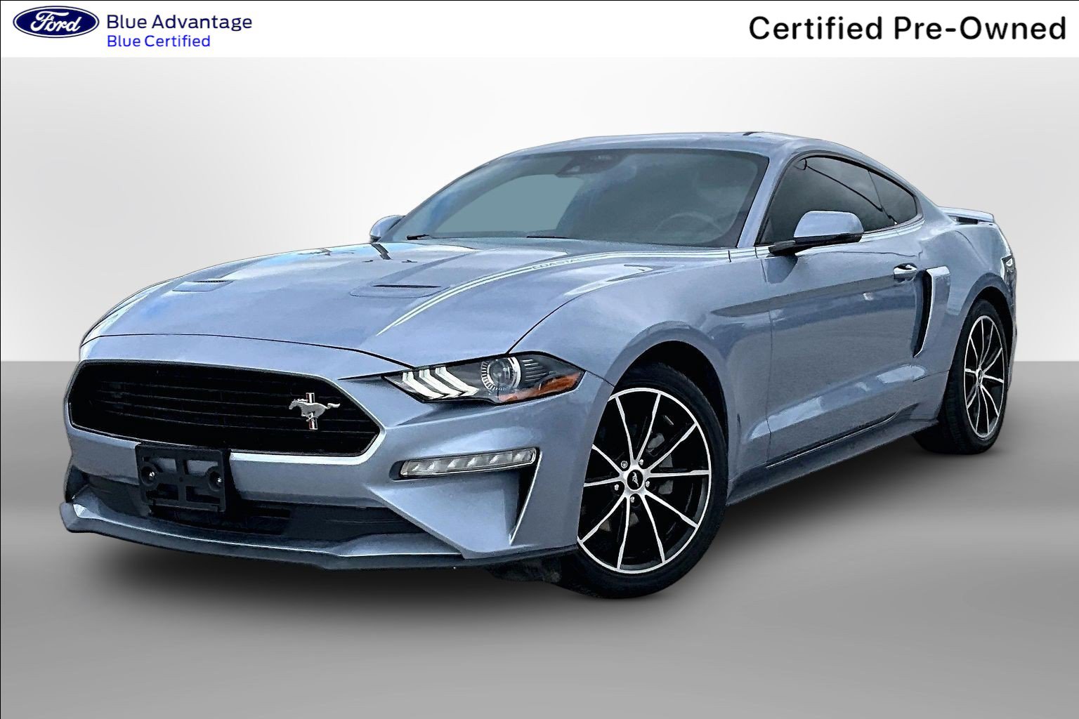 Certified 2022 Ford Mustang Premium w/ Equipment Group 201A RWD image 12