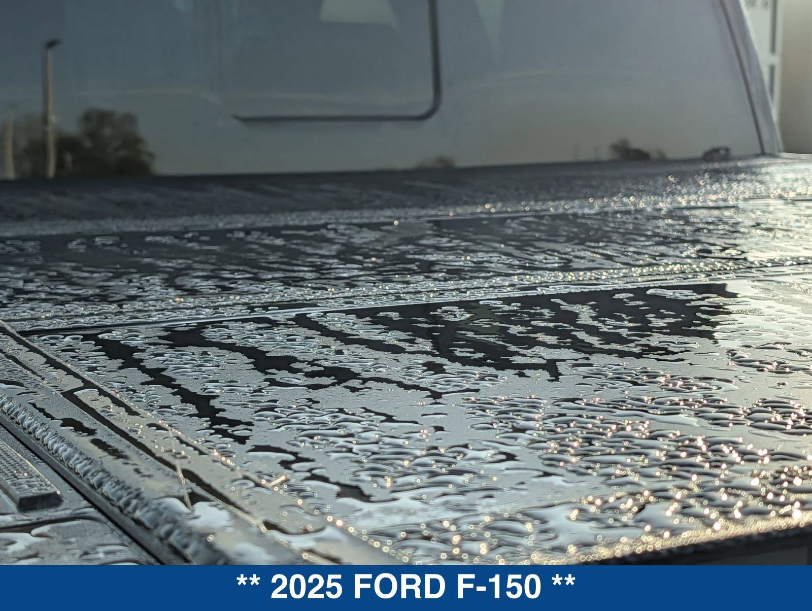 Certified 2025 Ford F150 Raptor image 14