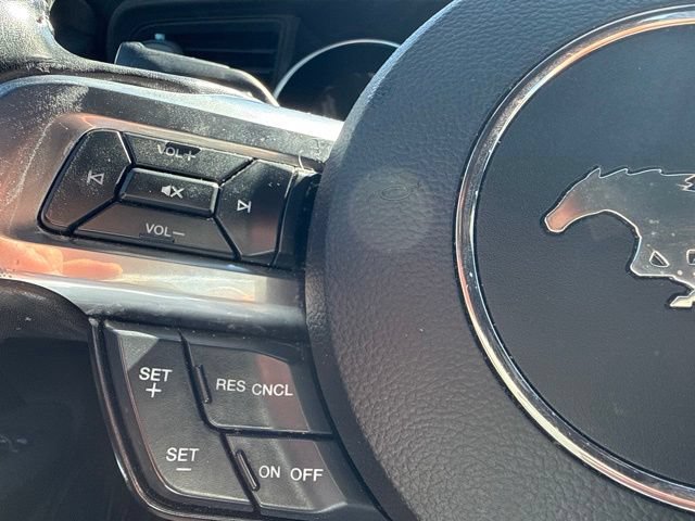 Certified 2019 Ford Mustang GT w/ Equipment Group 301A RWD image 22