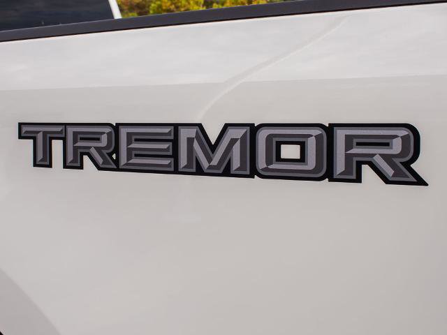 Certified 2025 Ford F250 Lariat w/ Tremor Off-Road Package image 11