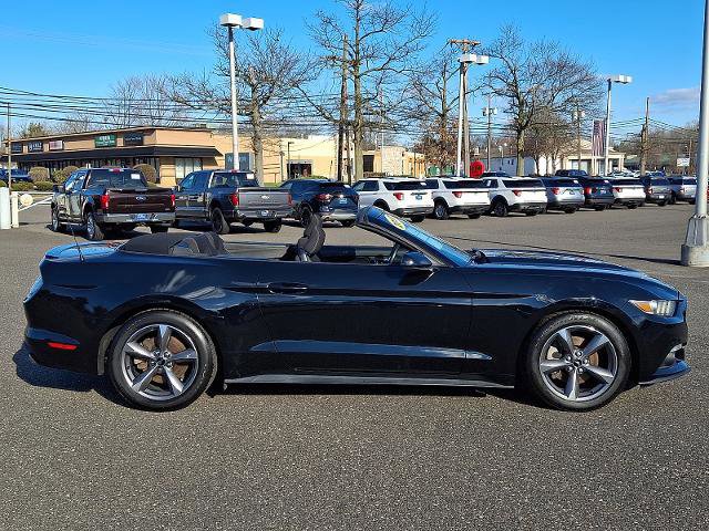 Certified 2017 Ford Mustang V6 w/ Equipment Group 051A image 5