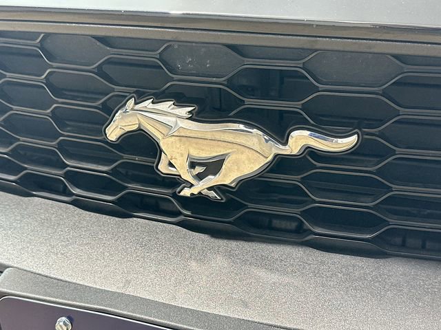 Certified 2022 Ford Mustang Premium image 20