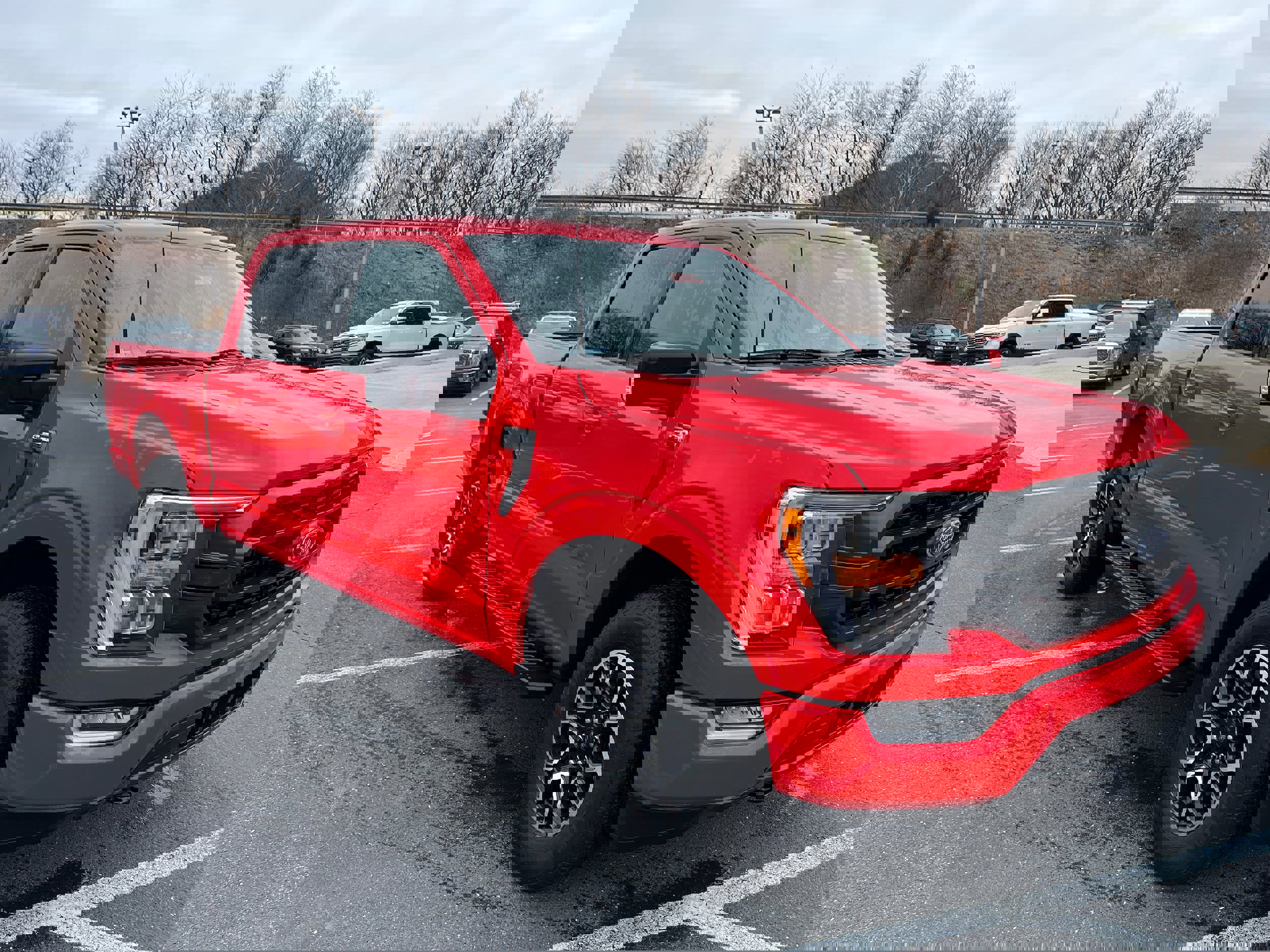 Certified 2023 Ford F150 XLT w/ Equipment Group 302A High image 6