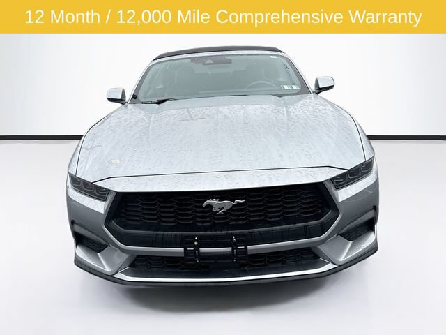 Certified 2025 Ford Mustang Premium RWD image 2