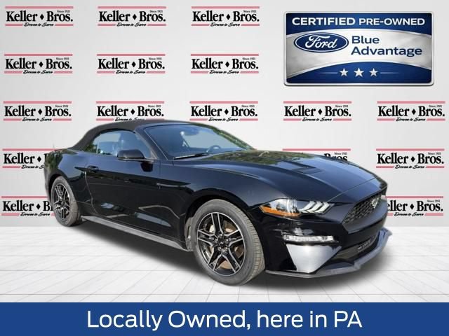 Certified 2019 Ford Mustang Premium RWD image 1