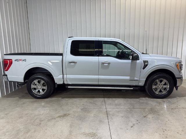 Certified 2023 Ford F150 XLT w/ Equipment Group 302A High AWD/4WD image 19