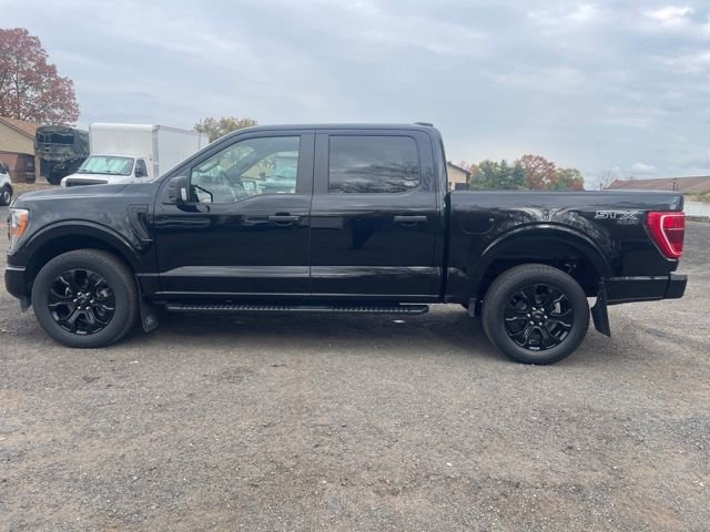 Certified 2022 Ford F150 XL w/ STX Black Appearance Package image 4