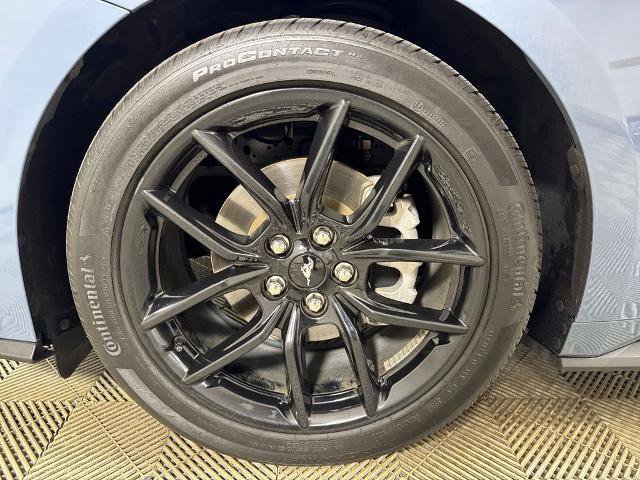 Certified 2025 Ford Mustang Coupe w/ Mustang Nite Pony Package image 9