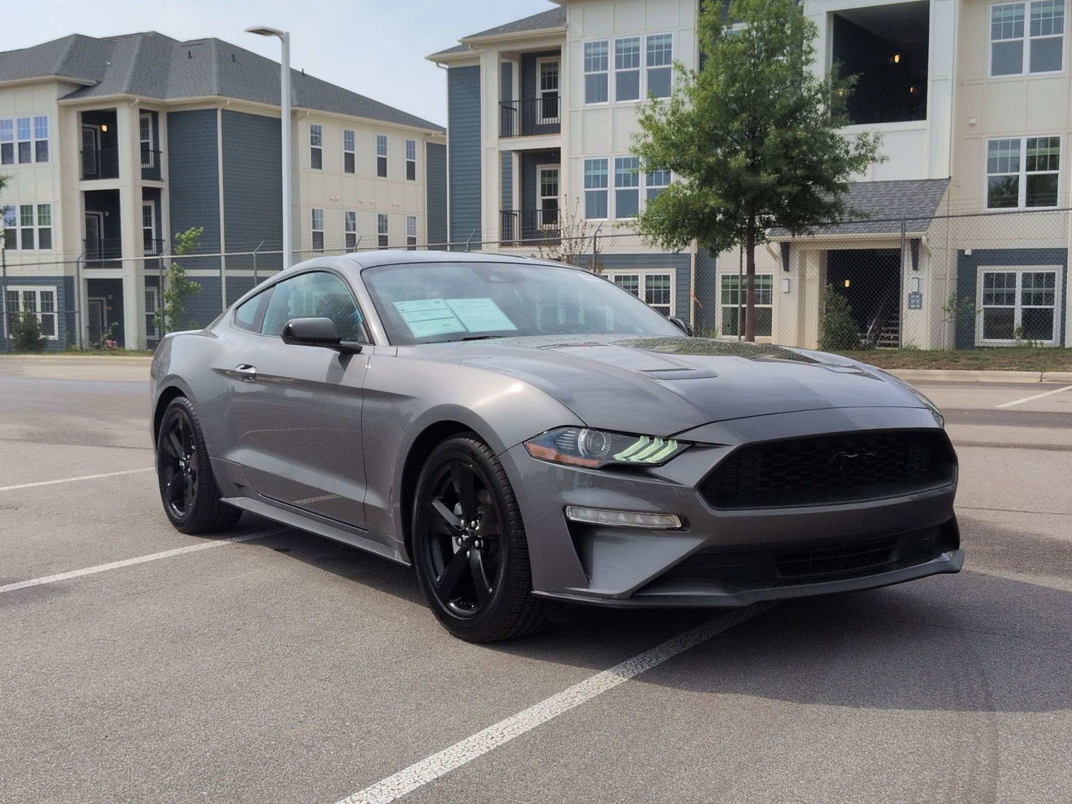 Certified 2023 Ford Mustang Coupe w/ Equipment Group 101A RWD image 1