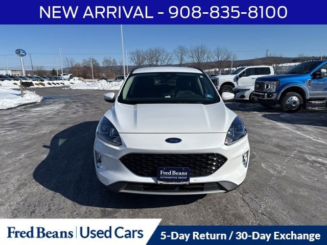 Certified 2020 Ford Escape SEL image 2