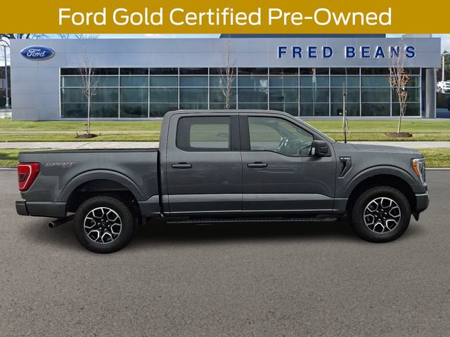 Certified 2023 Ford F150 XLT w/ Equipment Group 302A High image 10