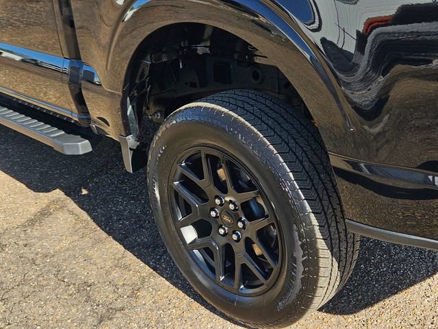 Certified 2025 Ford F150 STX w/ STX Black Appearance Package image 7