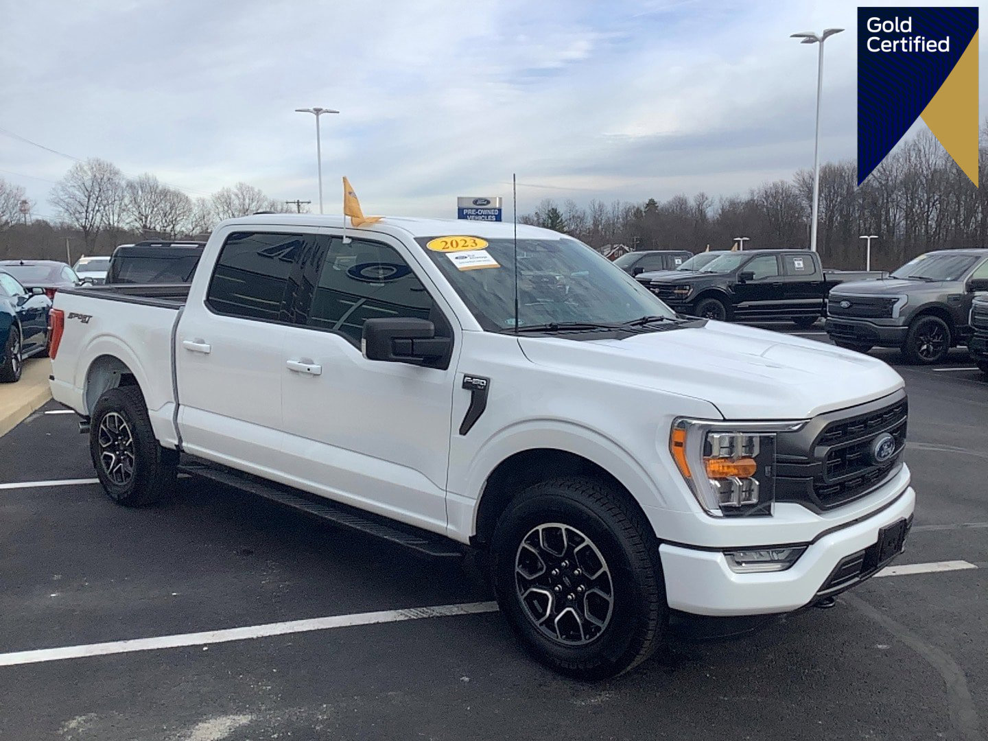 Certified 2023 Ford F150 XLT w/ Equipment Group 302A High image 1