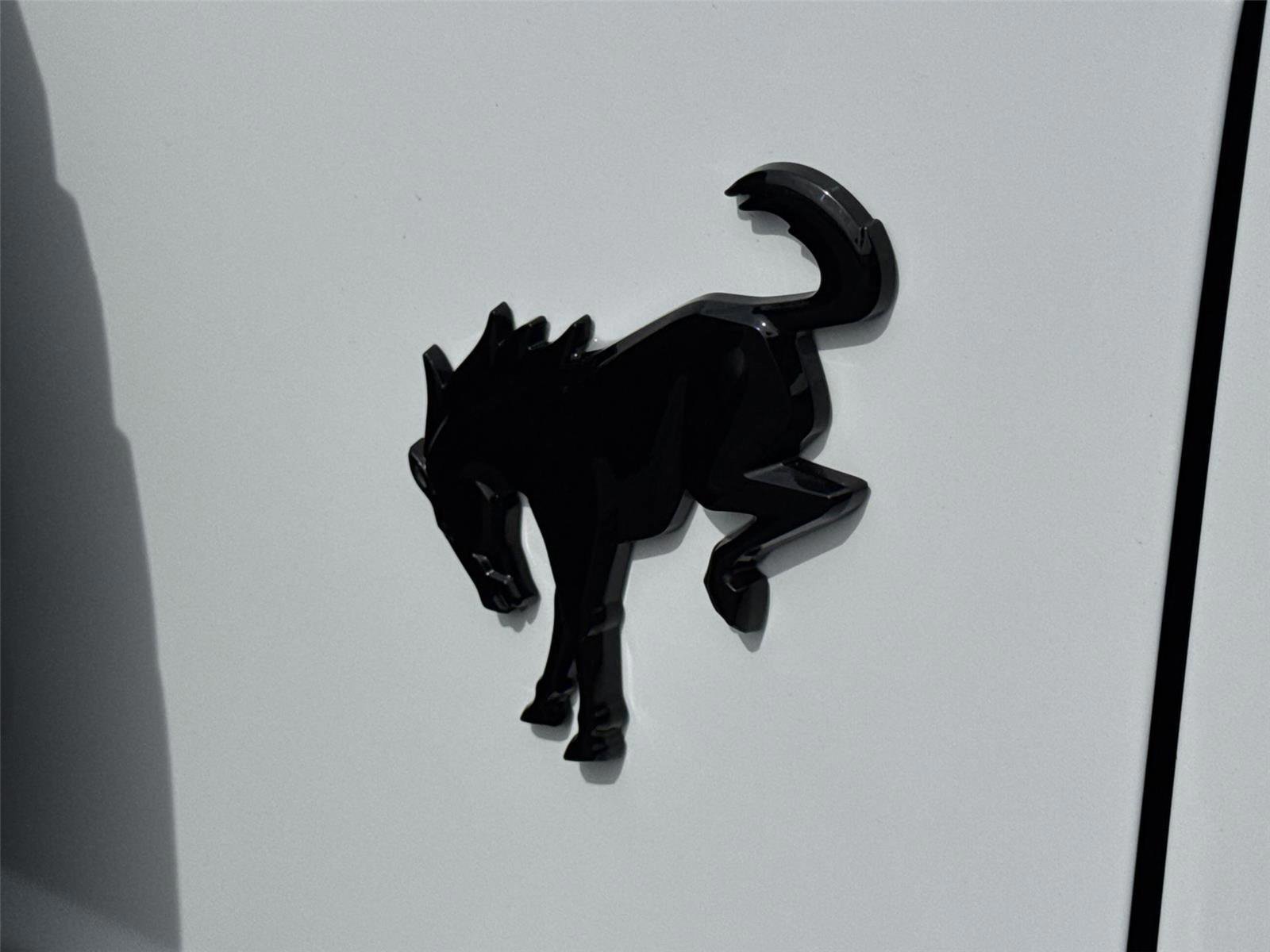 Certified 2022 Ford Bronco Wildtrak image 13