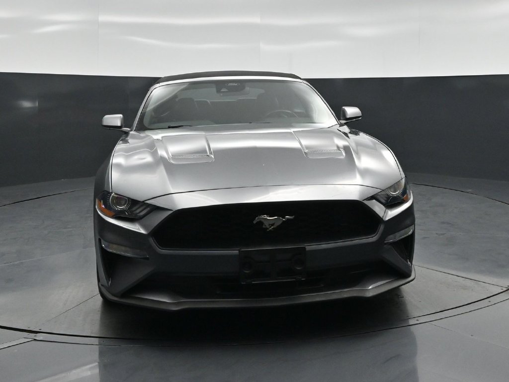 Certified 2023 Ford Mustang Premium RWD image 50