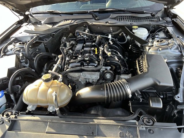 Certified 2022 Ford Mustang Premium image 11