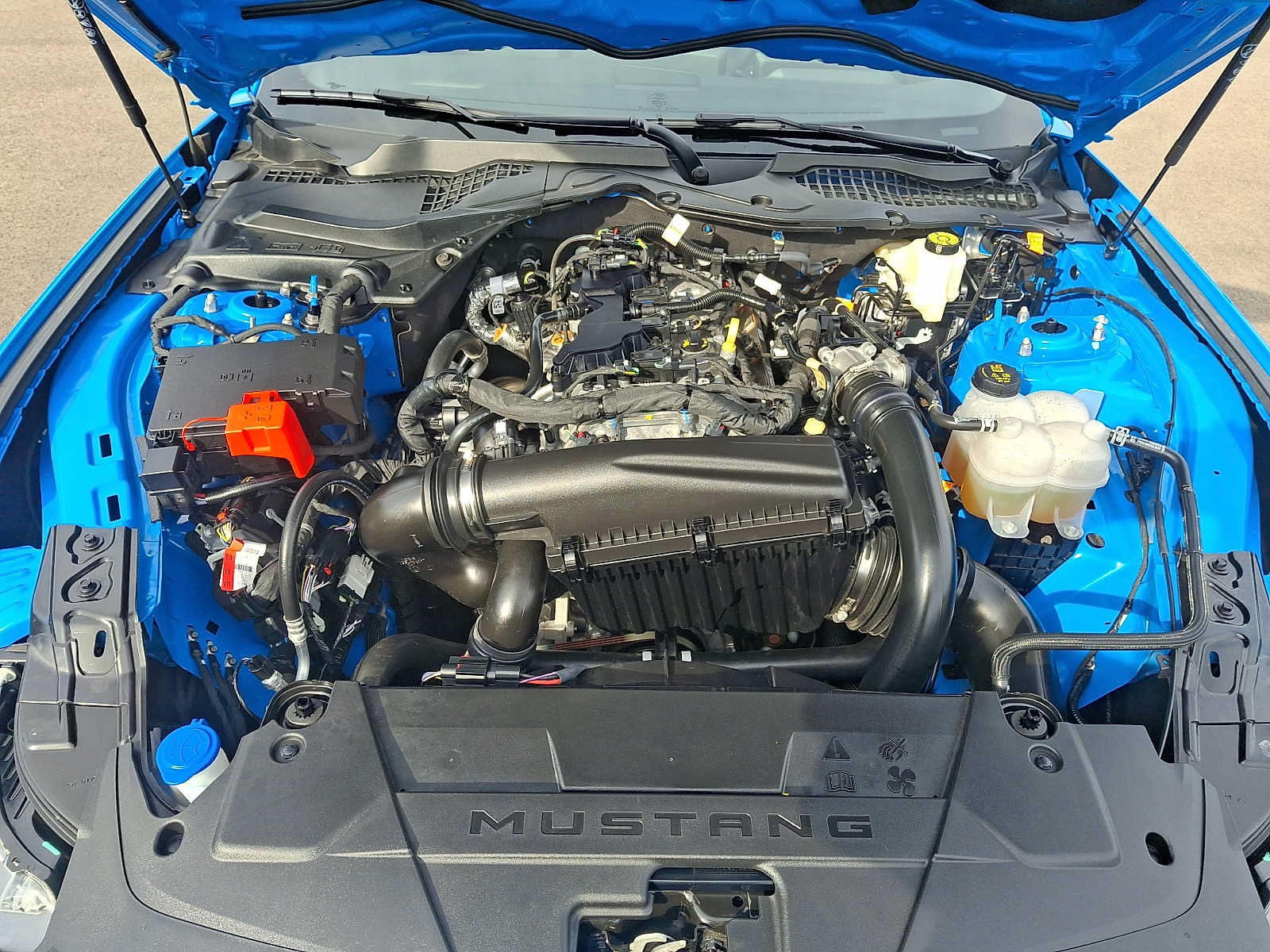 Certified 2026 Ford Mustang Coupe w/ Mustang Nite Pony Package RWD image 27