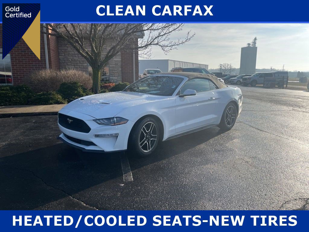 Certified 2022 Ford Mustang Premium w/ Equipment Group 201A image 1