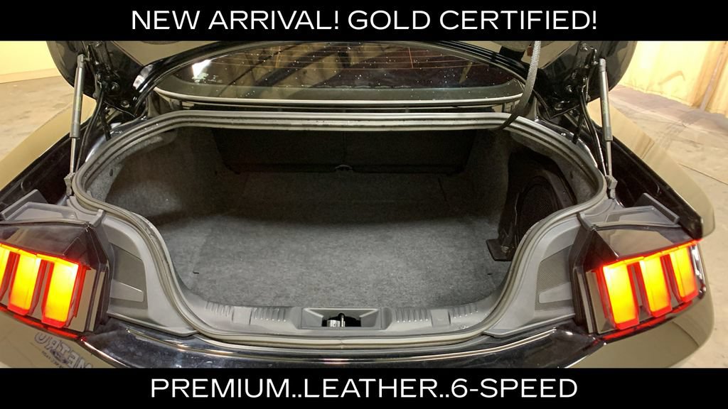 Certified 2024 Ford Mustang GT Premium RWD image 17