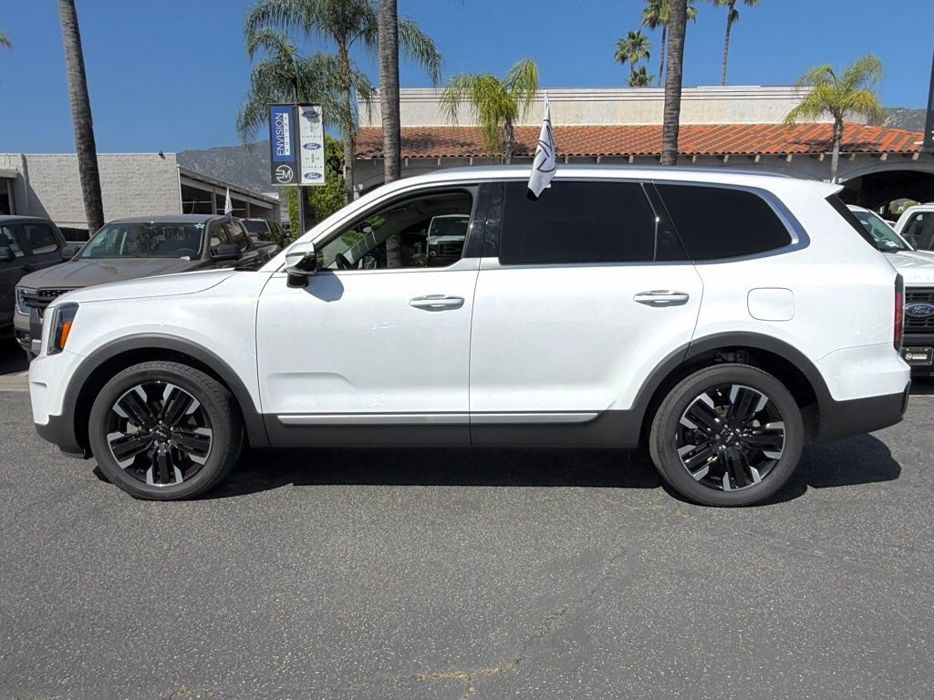 Used 2024 Kia Telluride SX Prestige image 5