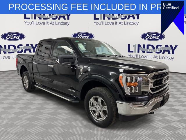 Certified 2023 Ford F150 XLT w/ Equipment Group 302A High