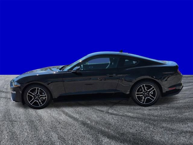 Certified 2023 Ford Mustang Coupe w/ Equipment Group 101A image 2