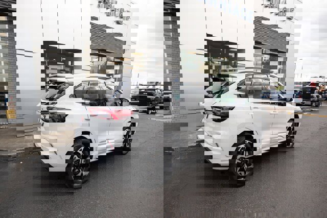 Certified 2025 Ford Escape ST-Line Elite image 4