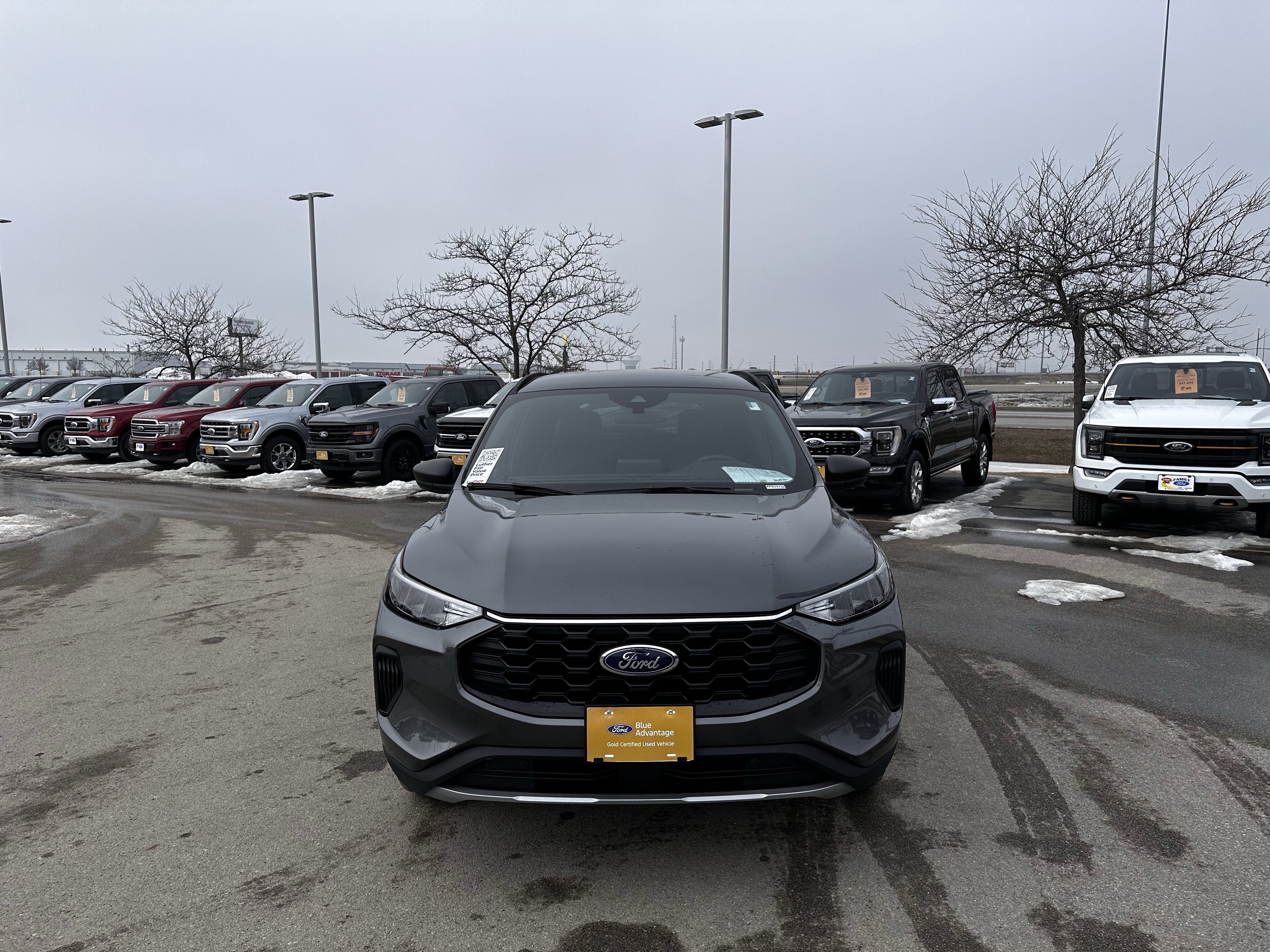 Certified 2025 Ford Escape ST-Line image 2