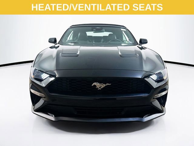 Certified 2023 Ford Mustang Premium image 10