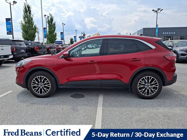 Certified 2022 Ford Escape SEL FWD image 7