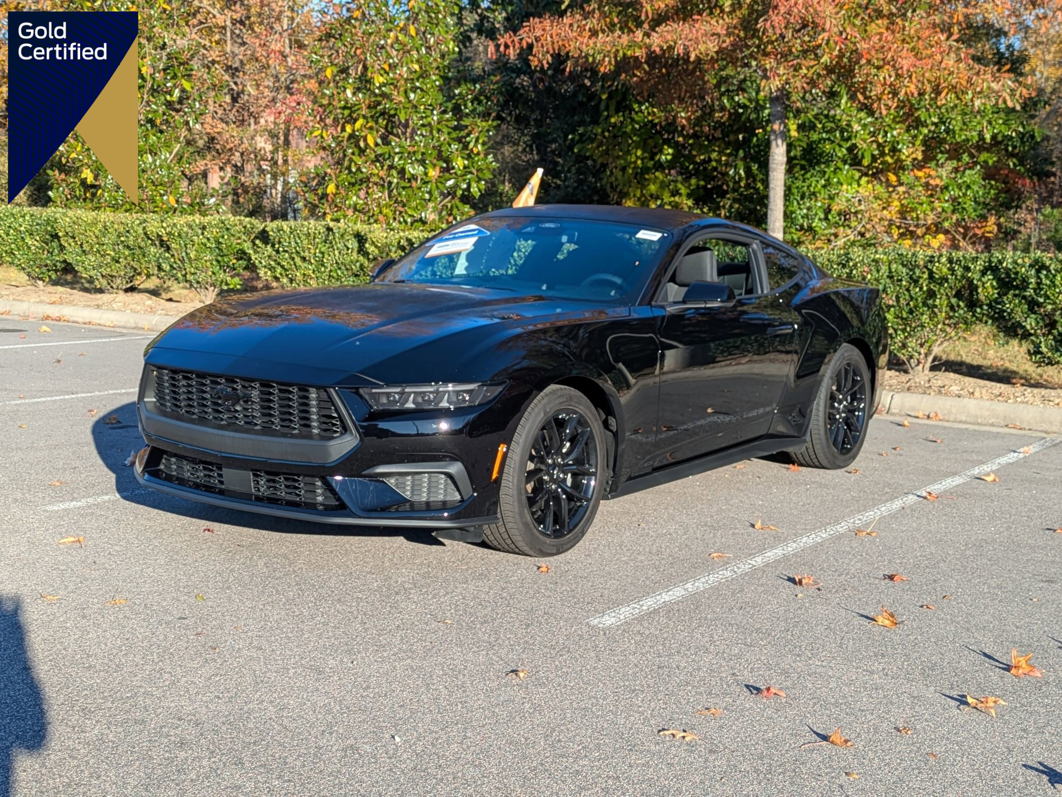 Certified 2025 Ford Mustang Coupe w/ Mustang Nite Pony Package image 1