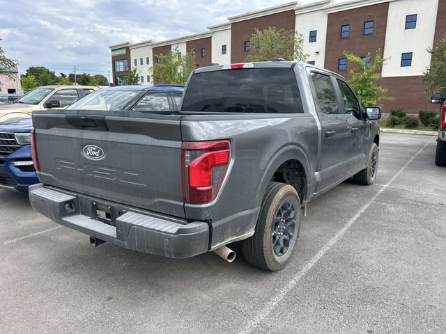 Certified 2025 Ford F150 STX RWD image 6