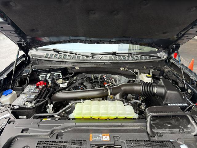 Certified 2025 Ford Expedition Active image 9