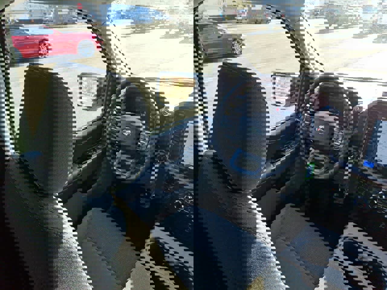 Certified 2025 Ford F150 XLT w/ Equipment Group 301A Standard image 15